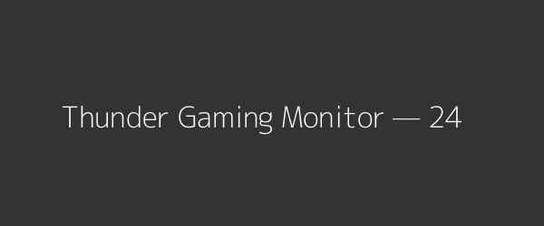 Thunder Gaming Monitor — 24
